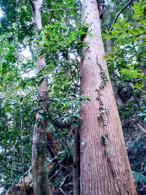 2023年度合格実績について